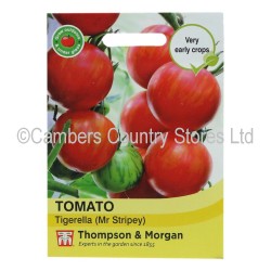 Thompson & Morgan Tomato Tigerella